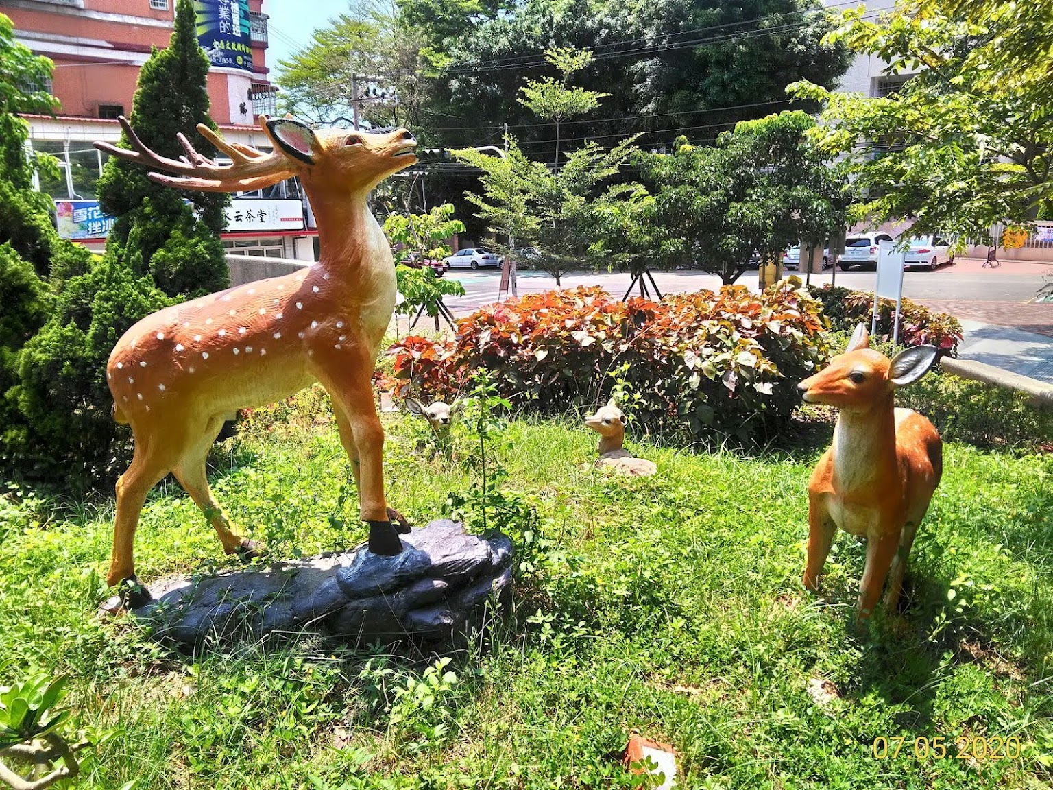 【天玥園之路】《城市的自由在綠地》【茂洋天玥】